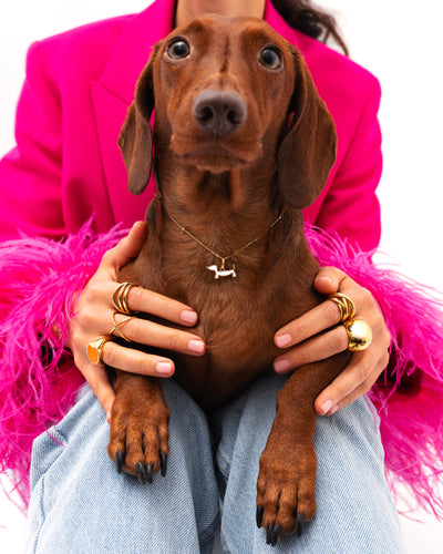 Ciondolo Bassotto Smaltato Bianco Placcato Oro - Shopella