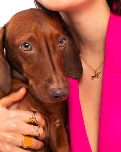 Ciondolo Bassotto Smaltato Bianco Placcato Oro - Shopella